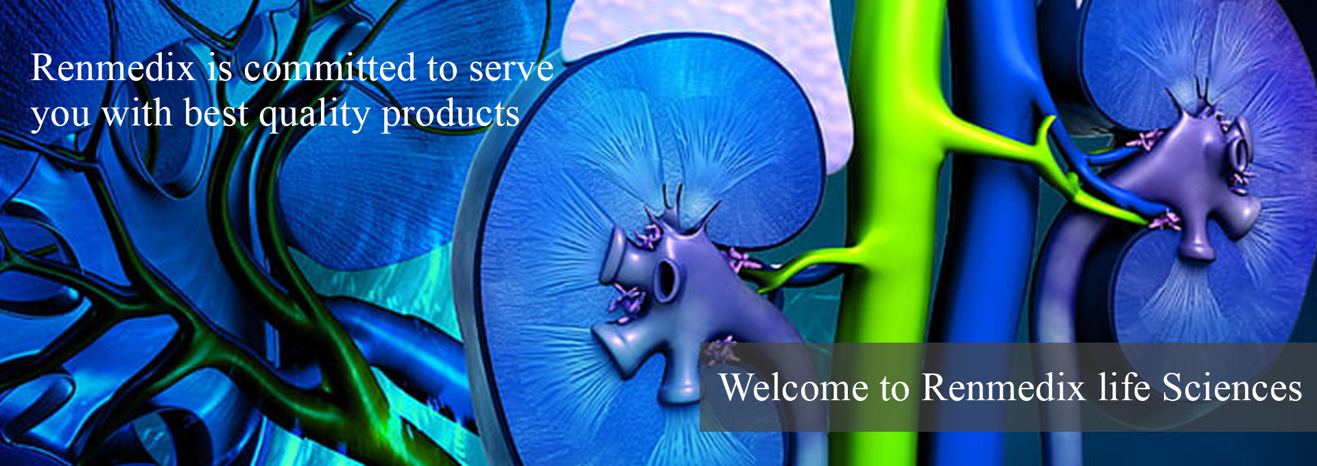 Renmedix Life Sciences