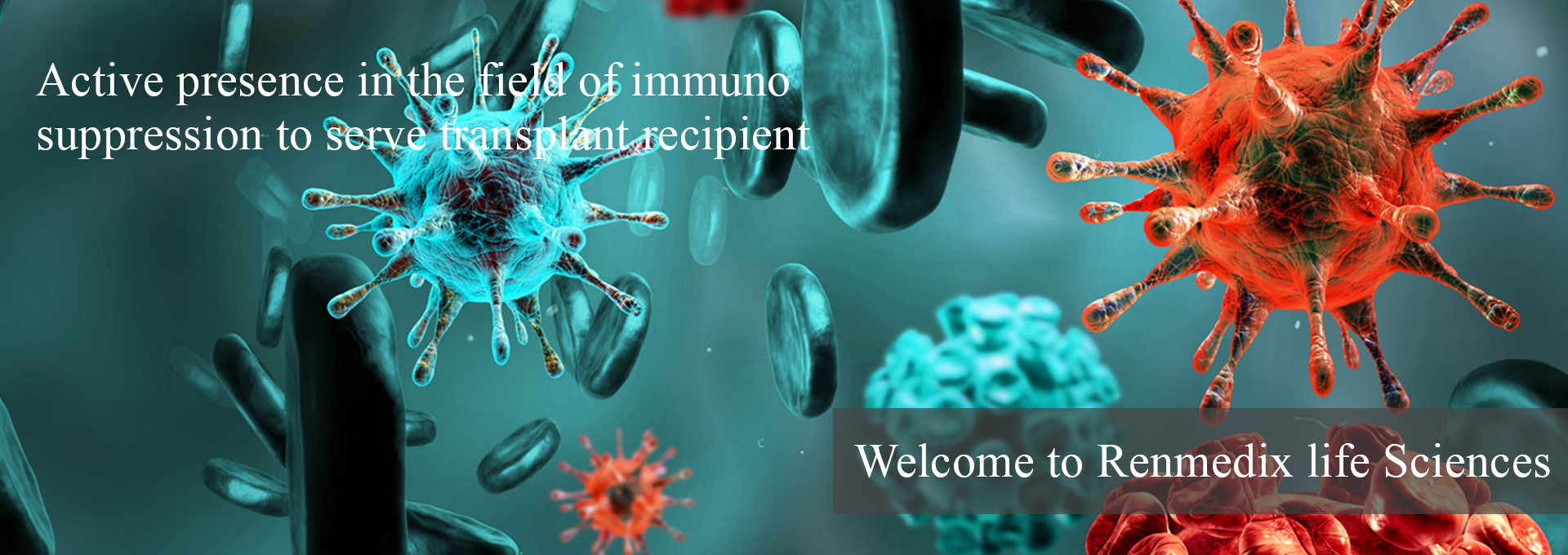 Renmedix Life Sciences